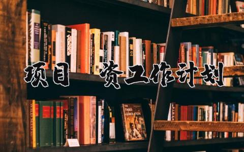 2025年项目投资工作计划 投资项目计划书模板范文