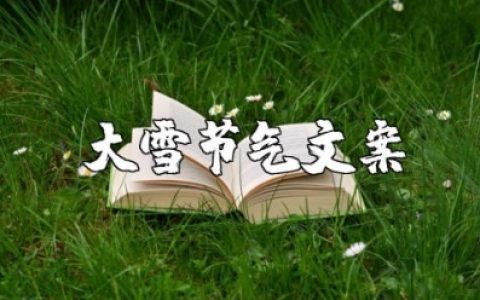 大雪节气的说说文案汇总 大雪节气的朋友圈句子合集