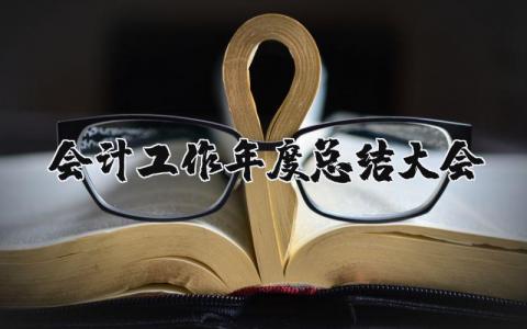 会计工作年度总结大会发言 2025年会计个人工作总结范文大全