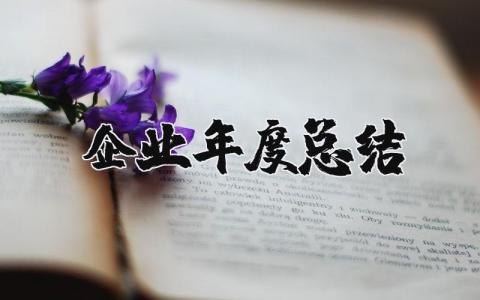 2025年企业年度总结报告 公司年终工作总结报告