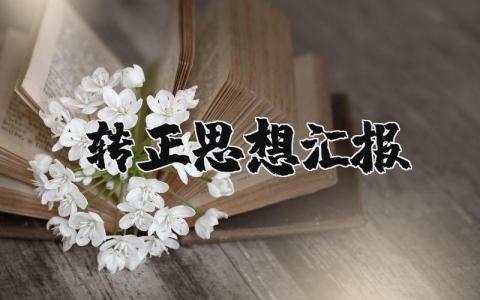 2025转正思想汇报通用范文 个人转正思想总结报告模板汇总