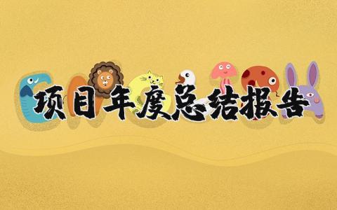 项目年度总结报告精选范文 项目年终总结汇报通用模板