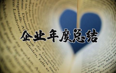 2025年企业年度总结 企业年终工作总结报告模板