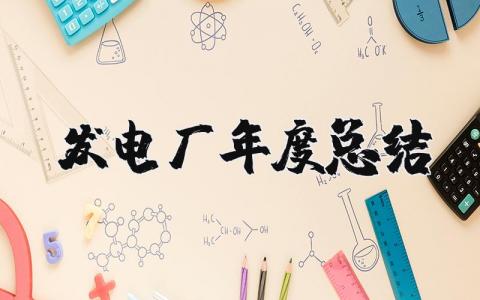 发电厂2025年度总结报告范文大全