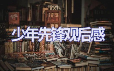 电影《少年先锋》观后感范文