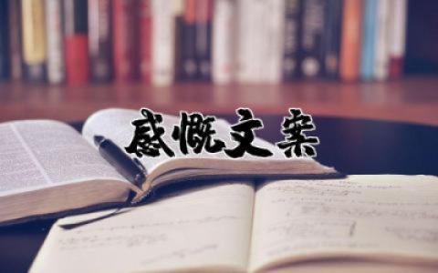 2025感慨文案句子直击心灵 2025最精辟最火的句子简短