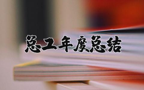 2025年总工年度总结汇报 工程师年度考核个人总结