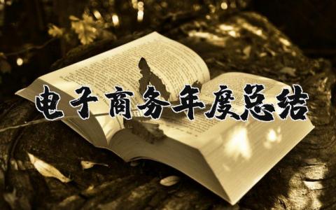 2025年电子商务年度总结范文 电子商务年终工作总结