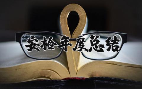 2025年安检年度总结范文 安检年终个人工作总结