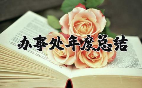 办事处年度总结个人报告 2025办事处年度总结汇报范文