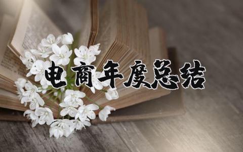 电商年度总结报告通用范文 电商年终工作进展汇报模板