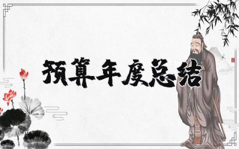 2025年预算年度总结报告 预算年终总结及建议