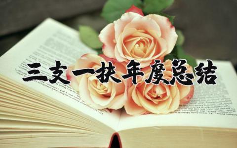 2025年三支一扶年度总结报告 三支一扶年度考核个人工作总结