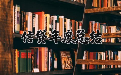 信贷年度总结报告范文 信贷年度总结及计划2025