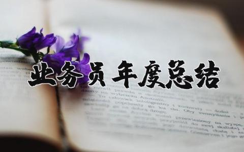 业务员年度总结及计划2025 业务员年度总结报告个人