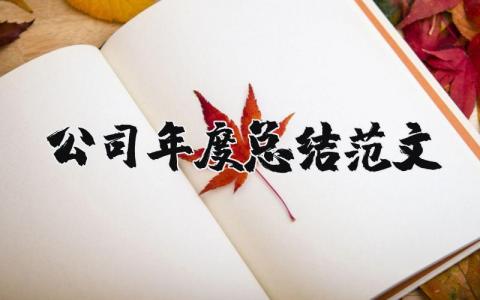 公司年度总结范文大全 2025公司年度总结报告模板
