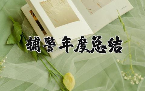 2025辅警年度总结范文大全 公安辅警年度总结精选