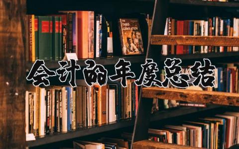 会计的年度总结报告精选范文 会计年终工作进展汇报模板