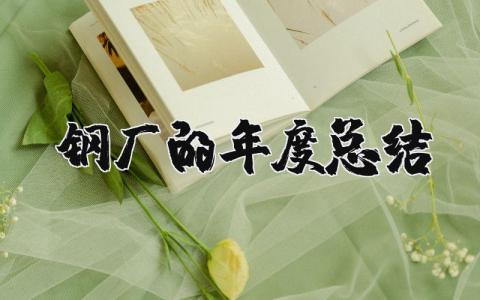 2025年钢厂的年度总结报告 炼钢厂个人工作总结范文