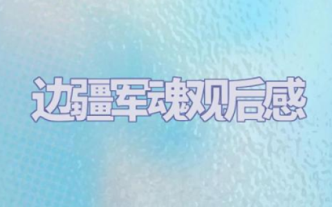 电影《边疆军魂》观后感范文