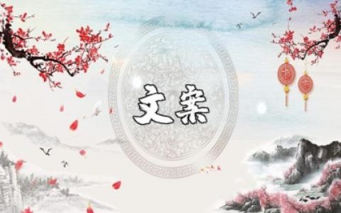 陪我到2025年文案 即将到达2025年文案