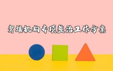 驾培机构专项整治工作方案范文大全