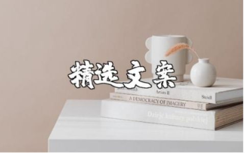 再见已是2025年文案大全 迎接2025年的精选语录句子合集