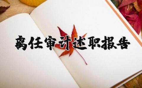 离任审计述职报告范文 离任审计工作总结报告