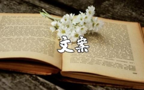 回顾2025展望2025文案 展望2025朋友圈文案短句