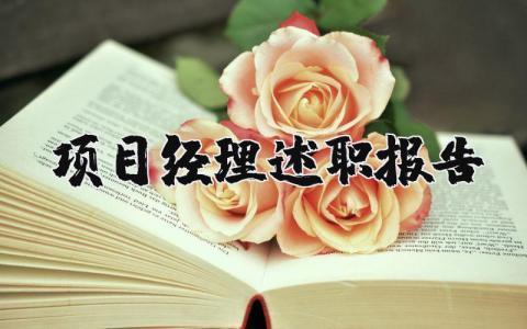项目经理述职报告2025最新完整版 项目经理工作总结精辟简短