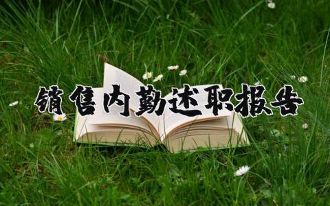 销售内勤述职报告2025最新完整版 销售内勤工作总结个人范文 (3篇）
