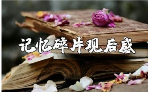 《记忆碎片》观后感范文 看《记忆碎片》心得体会合集