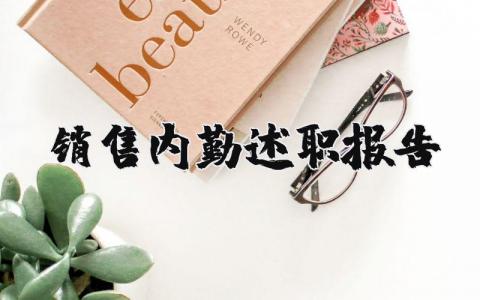 销售内勤述职报告个人范文 2025销售内勤述职报告总结精选