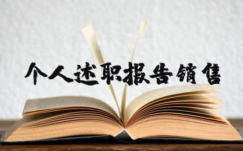 销售个人述职报告精选范文 销售人员工作总结述职汇报通用模板