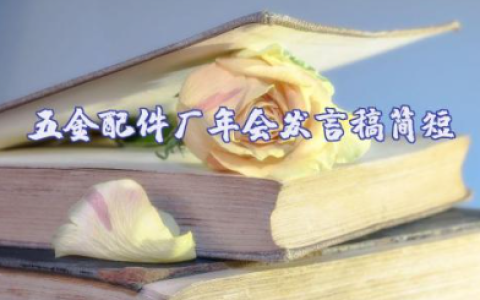 五金配件厂年会发言稿简短范文（6篇）