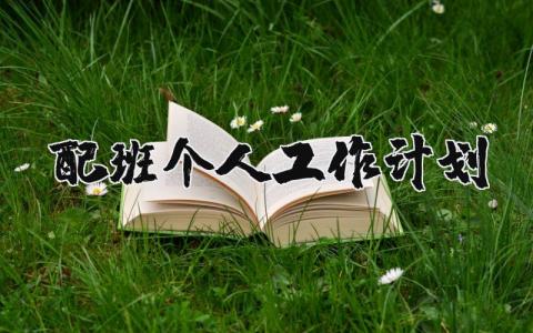 2025年配班个人工作计划 配班下一步工作内容 (3篇）