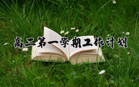 高二第一学期工作计划范文合集 2025高二第一学期教学工作方案集锦