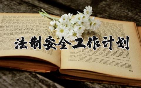 2025法制安全工作计划 法制安全工作计划怎么写 (5篇）