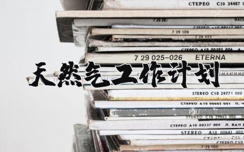天然气公司工作计划范文汇总 2025关于天然气的工作实施方案合集
