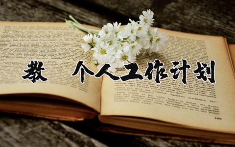 教师个人工作计划2025年 教师下一步工作设想 (3篇）