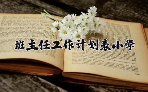 小学班主任工作计划表2025年通用范文汇总