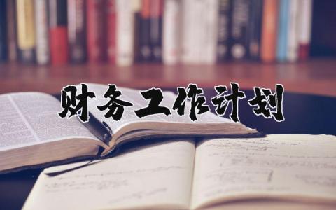 2025财务工作计划 财务下一步工作措施 (3篇）