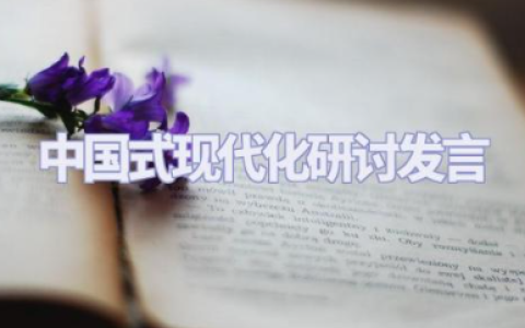 中国式现代化研讨发言材料 谈谈我们中国的现代化发展