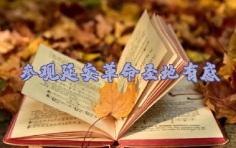 参观延安革命圣地有感优秀范文（精选10篇）