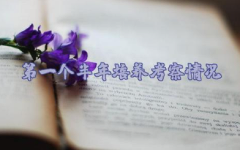 第一个半年培养考察情况精选范文（10篇）