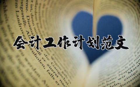 2025年会计工作计划范文大全 会计下一步工作安排 (4篇）