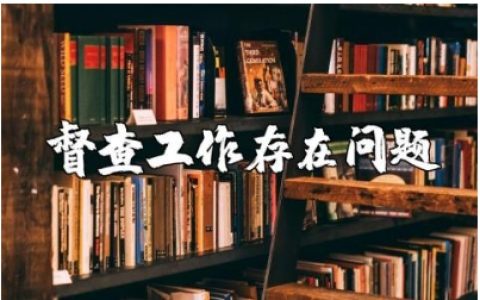 督查工作中存在的问题及整改措施汇报精选范文