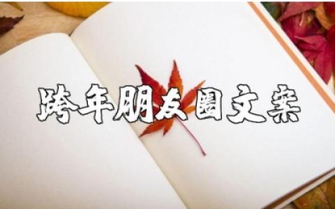 适合跨年发的朋友圈文案大全 关于跨年的暖心说说句子集锦