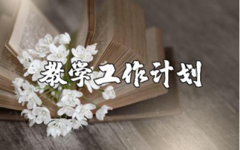 2025年教学工作计划精选范文 教师教学教育工作开展方案策划书