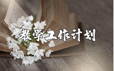 2025年教学工作计划精选范文 教师教学教育工作开展方案策划书